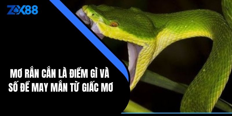 Mơ rắn cắn là điềm gì